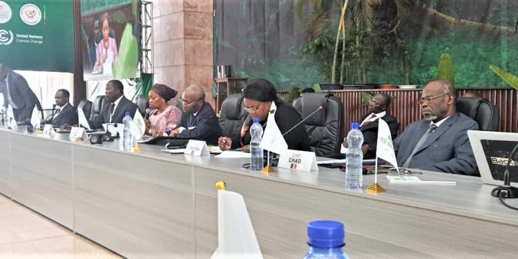 En attendant la COP27 : la position commune des ministres de la CEEAC.  © D.R.