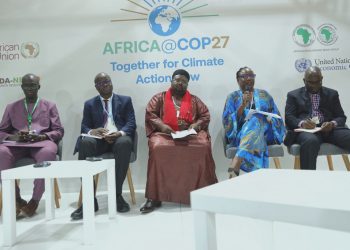 Résilience climatique et transition énergétique en Afrique : la BAD et la Société civile montent une coalition © DR.