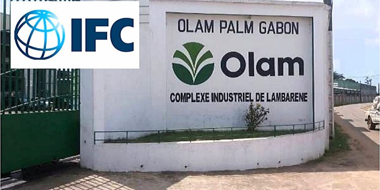 Olam Palm Gabon obtient un financement de 150 millions de dollars de la Société Financière Internationale © Le Confidentiel.