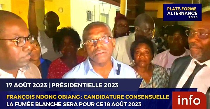 Alternance 2023 : plus que quelques heures avant l'annonce du candidat consensuel ? © Capture d'écran.