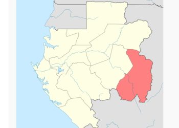 Récemment général de la population dans le Haut-Ogooué : bataille des chiffres sur Wikipédia © Le Confidentiel.