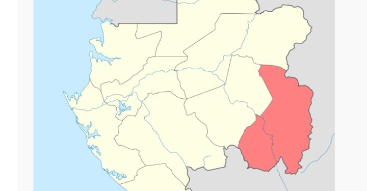 Récemment général de la population dans le Haut-Ogooué : bataille des chiffres sur Wikipédia © Le Confidentiel.