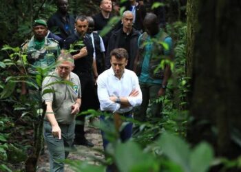 Lee White souhaite revenir au Gabon « Pas en tant qu'homme politique mais en tant que scientifique » / DR.